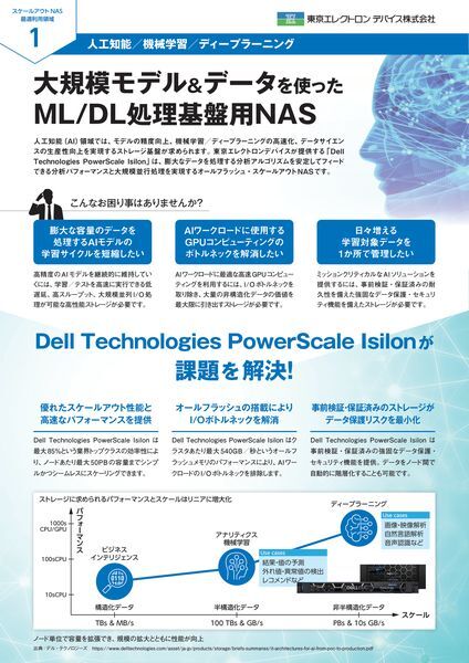 紹介資料：大型規模モデル＆データを使ったDLML処理基盤用NAS